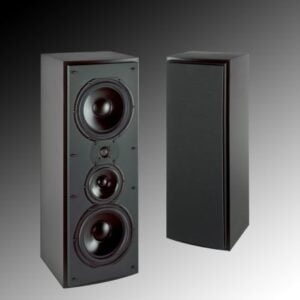 Triad InRoom Gold LCR