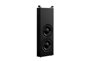 Lyngdorf DW-10 Woofer